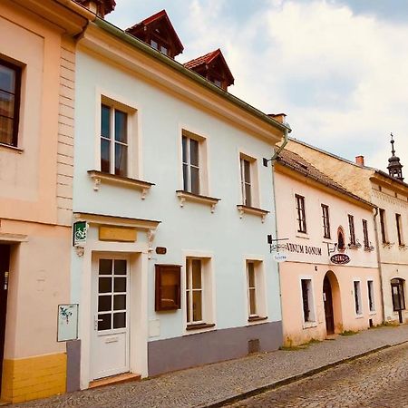 Penzion Laterna Літомержице Екстер'єр фото